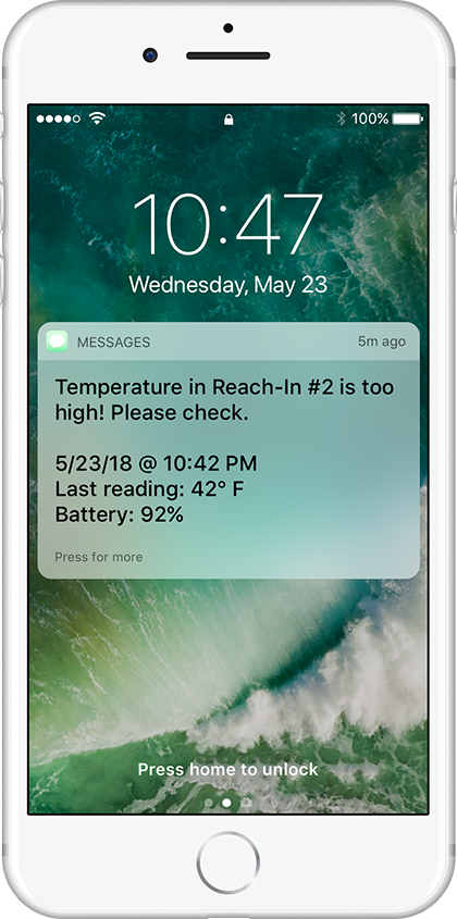 Remote_Monitoring_iPhone
